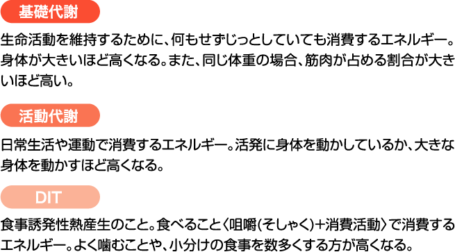 基礎代謝：生命活動を維持するために、何もせずじっとしていても消費するエネルギー。身体が大きいほど高くなる。また、同じ体重の場合、筋肉が占める割合が大きいほど高い。活動代謝：日常生活や運動で消費するエネルギー。活発に身体を動かしているか、大きな身体を動かすほど高くなる。DIT：食事誘発性熱産生のこと。食べること〈咀嚼(そしゃく)+消費活動〉で消費するエネルギー。よく噛むことや、小分けの食事を数多くする方が高くなる。