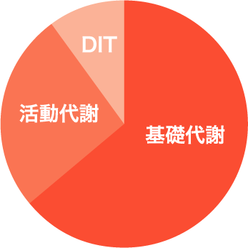 基礎代謝 活動代謝 DIT